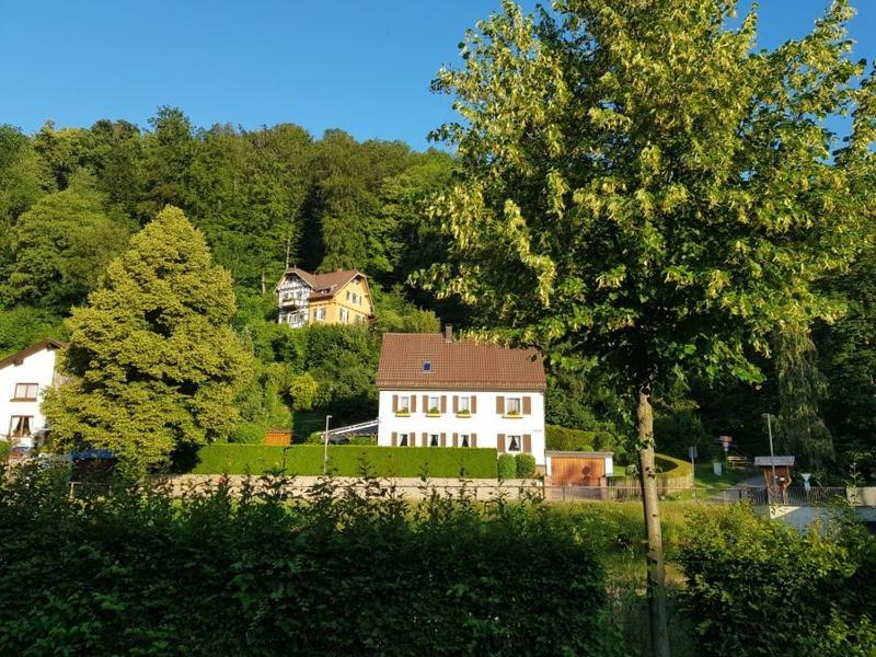 Hotel Schiff ナーゴルト エクステリア 写真